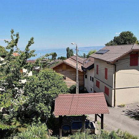 Apt Type 3 En Duplex Sur Evian Les Bains Vue Lac Bagian luar foto